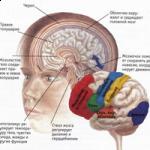 Кликните для увеличения Кликните для увеличения