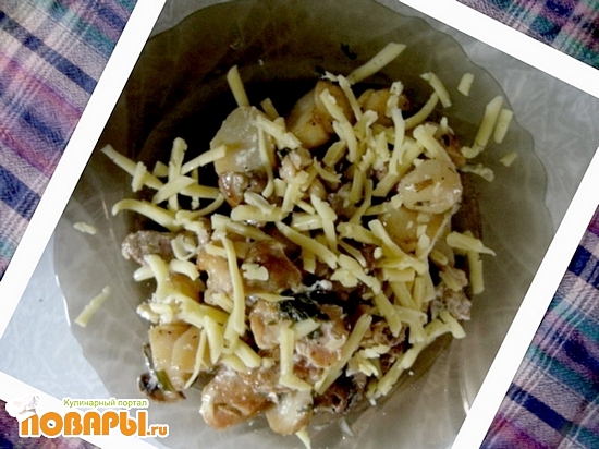 ���� �������