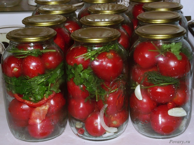 ���� �������