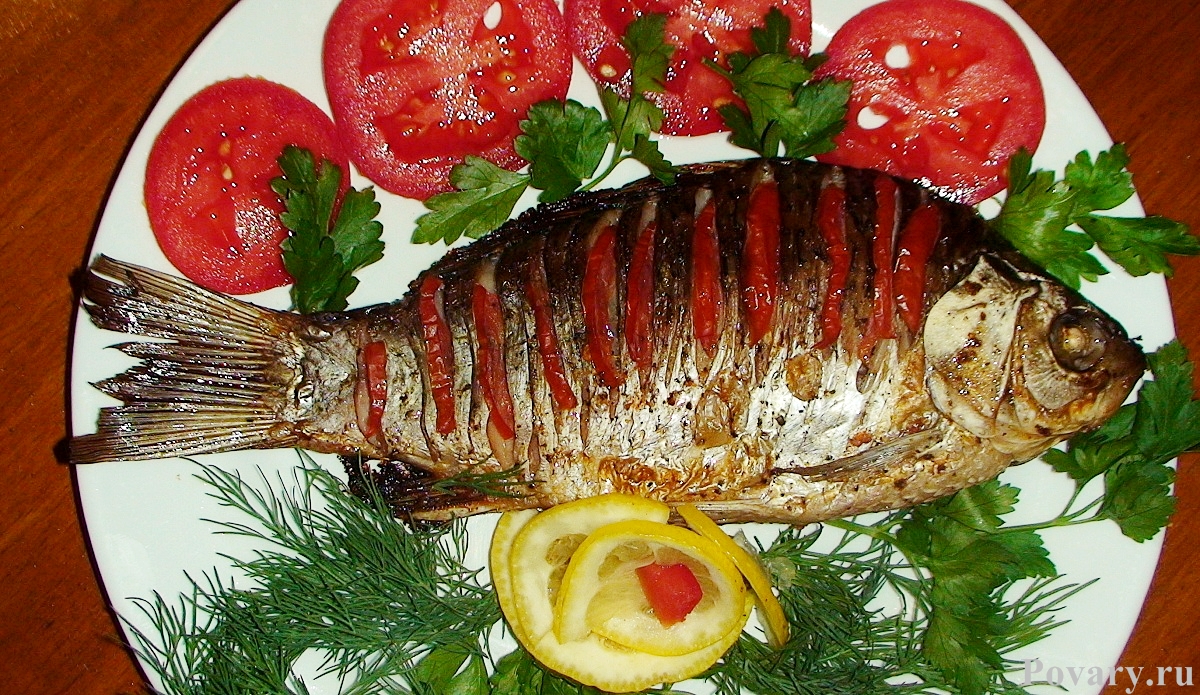 ���� �������