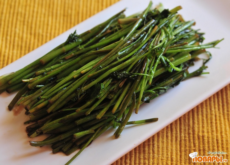 ���� �������