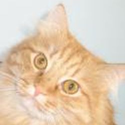 Аватар пользователя Sergo63