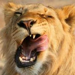 Аватар пользователя ru.kola