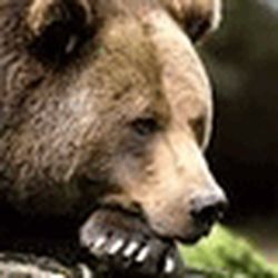 Аватар пользователя justjelbela