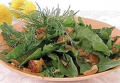 Французский весенний салат из одуванчиков