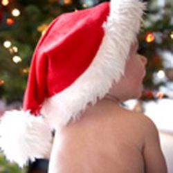 Аватар пользователя Имбирь