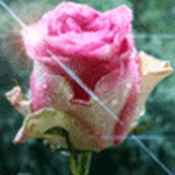 Аватар пользователя tatyana2004