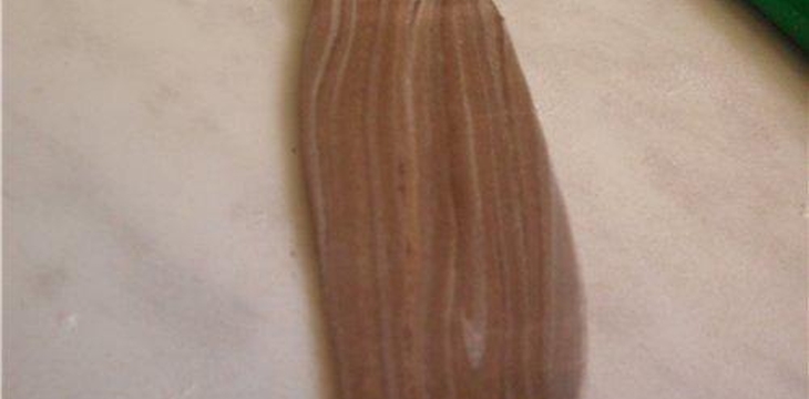 Шаг №4 МК Структура дерева от morozilka