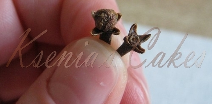 Шаг №13 МК Мандарин от asana