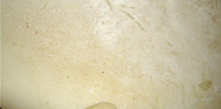 Шаг №3 МК Нарциссы от Тигра-Львовна