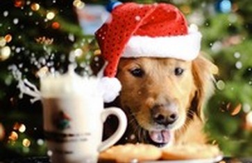 Идеальное меню на новогодний стол 2018