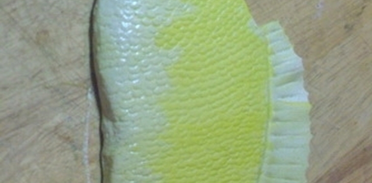 Шаг №11 МК Окунь от alizka