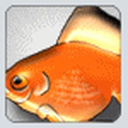 Аватар пользователя conia