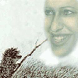 Аватар пользователя antonio335