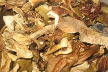 Шаг 14: Мне она привезла грибы для …