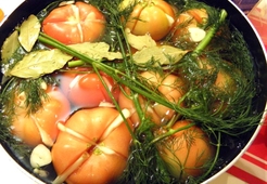 Квашенные помидоры