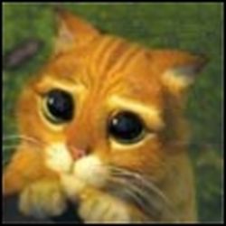 Аватар пользователя mia78