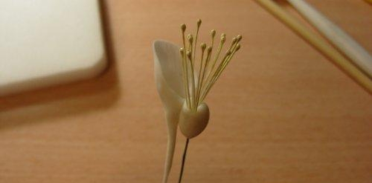 Шаг №13 МК Аквилегия от Учредительница