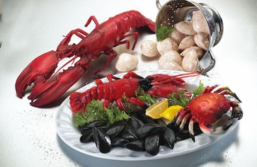 Статья: Что мы знаем о пользе морепродуктов?