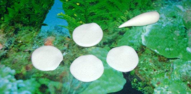 Шаг №3 МК Корзинка с розочками от Annula