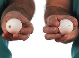 Статья: Студент придумал способ варить яйца… без воды