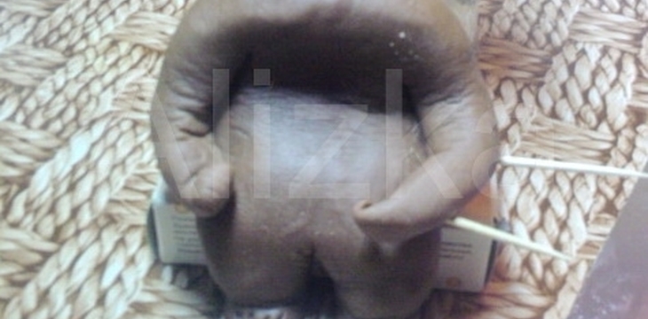 Шаг №11 Маша и Медведь от alizka