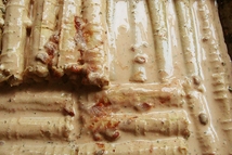 Шаг 5: Заливаем соусом канелоне и отправляем …