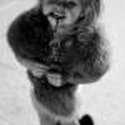 Аватар пользователя katexxi