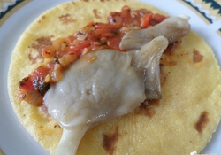 Рецепт: Тако с вешенкой