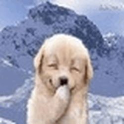 Аватар пользователя touforriifrac