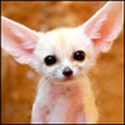 Аватар пользователя Sonatta89