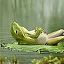 Аватар пользователя scorpion4ik0511