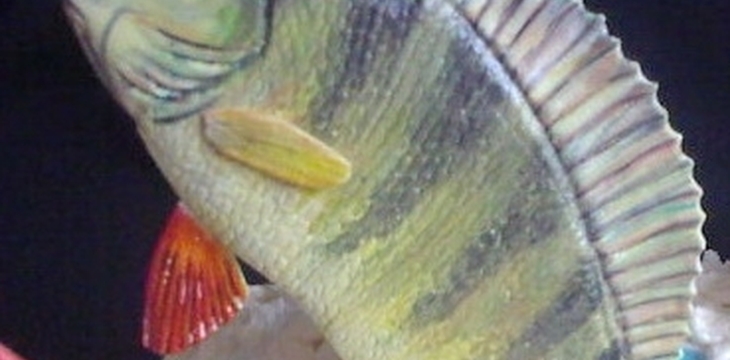 Шаг №12 МК Окунь от alizka