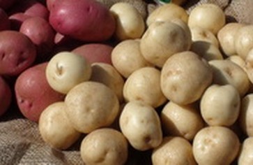 Подойдите к картофелю творчески – добавьте его в шоколадный торт!