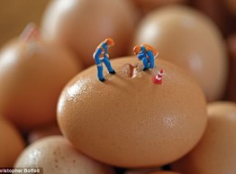 Игра с едой