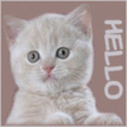 Аватар пользователя подруга