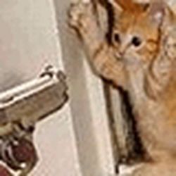 Аватар пользователя anivcusor