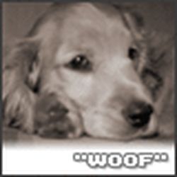 Аватар пользователя Anellia