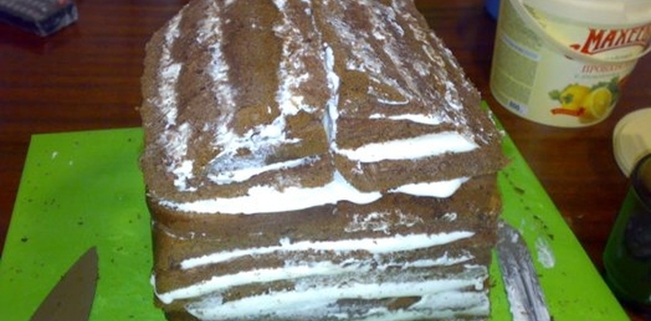 Шаг №4 МК Форма дома без обрезков от Linka