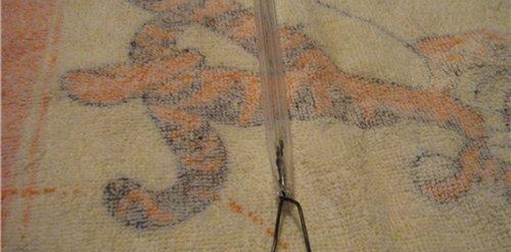 Шаг №3 МК Инструмент для прокатки края лепестка от yayagm