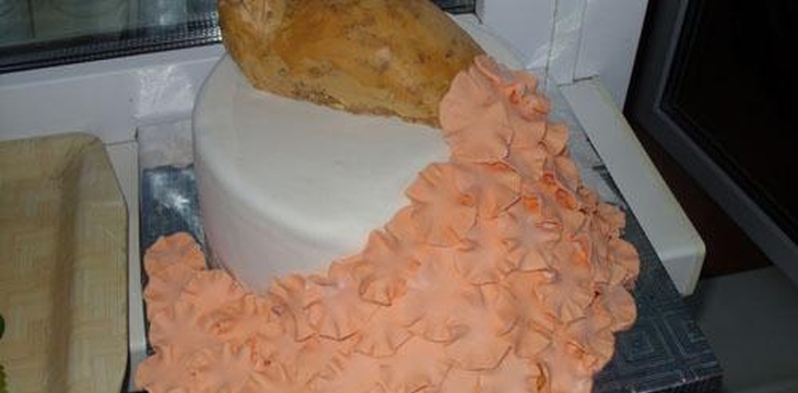 Шаг №15 Жар птица от tanusha84