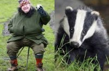 Совет от Клариссы Диксон Уайт: ешьте… барсуков!!!