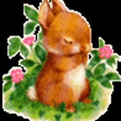 Аватар пользователя ameli