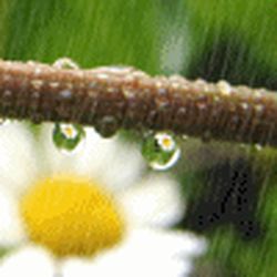 Аватар пользователя tamarabsw