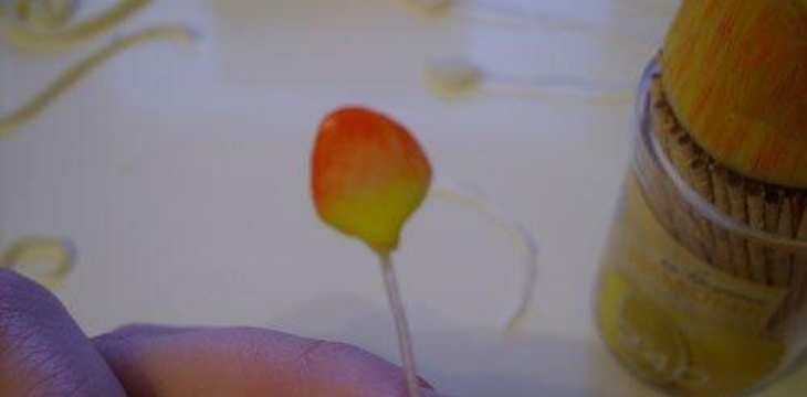 Шаг №9 Жар птица от tanusha84