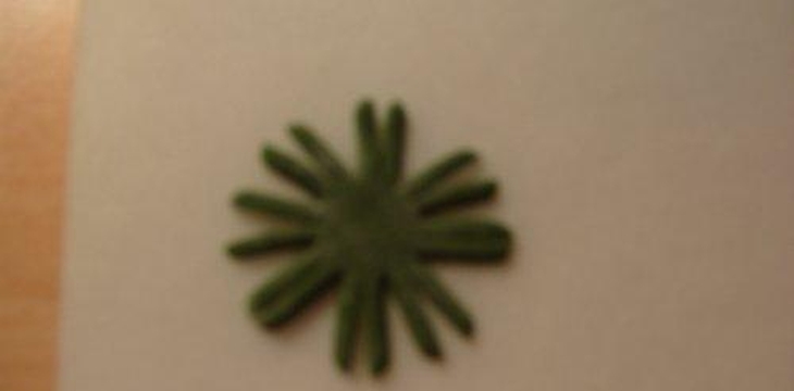 Шаг №17 МК Хризантемы от Учредительница