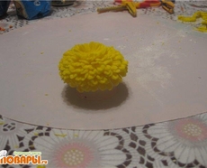 МК Хризантемы, астры, дубки от аннета