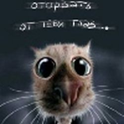 Аватар пользователя andreencko