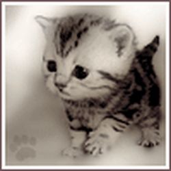 Аватар пользователя Oljaro4ka