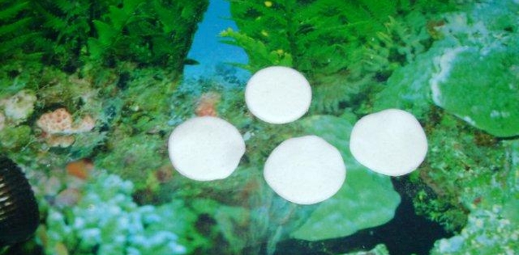 Шаг №2 МК Корзинка с розочками от Annula